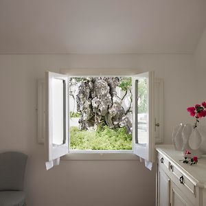 Family Junior Suite